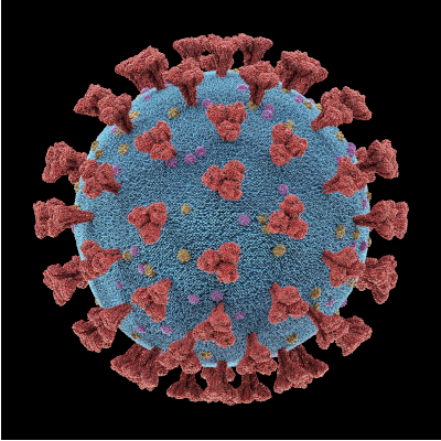 Coronovirus400