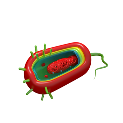 LabMolecularJun2017